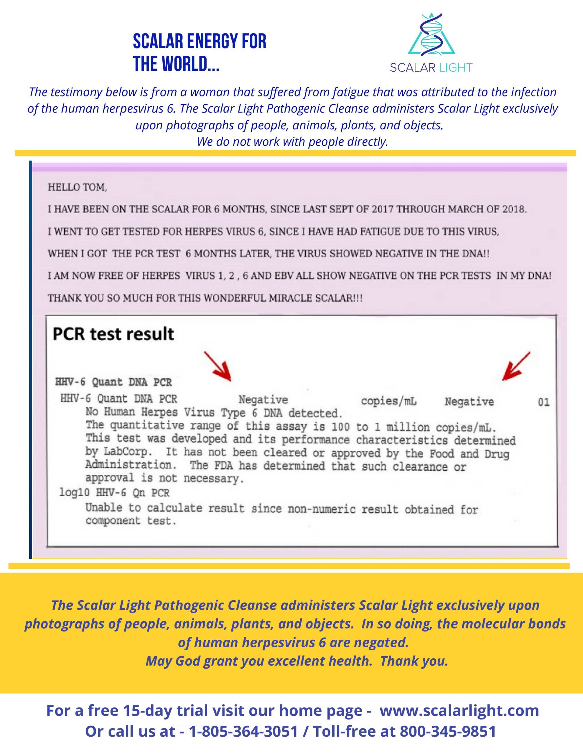 Herpes PCR Test result