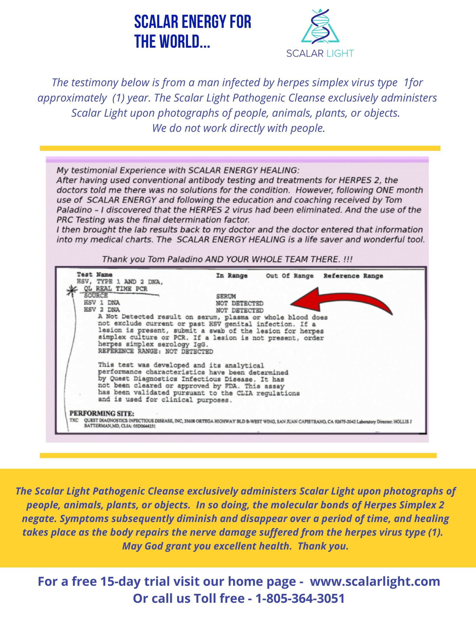 PCR test result for Herpes